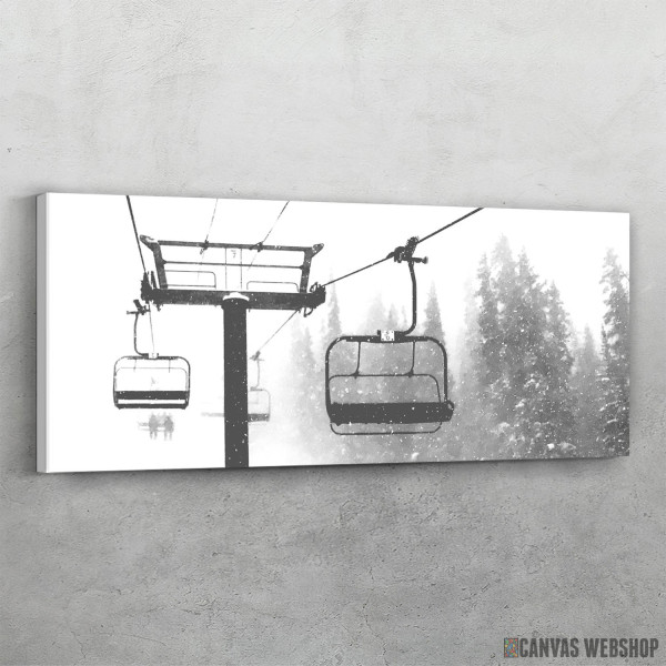 Slika Zicara kolorado