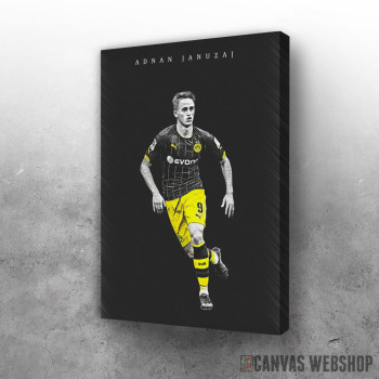 Slika Adnan Januzaj