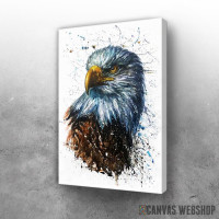 Slika Američki orao