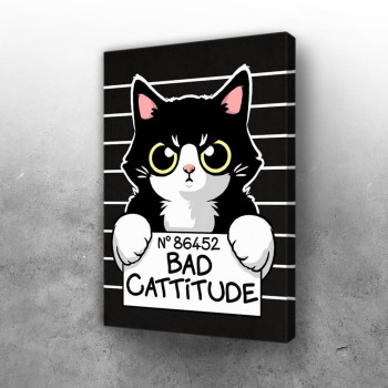 Bad cattitude cat prisoner