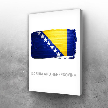 Bosna i Hercegovina zastava