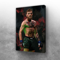 Conor McGregor MMA