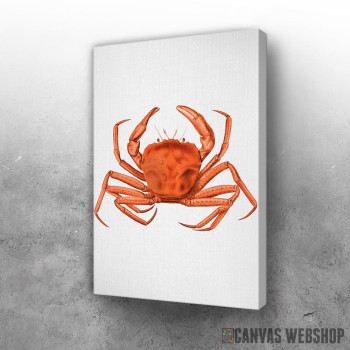 Slika Crab Watercolor
