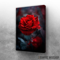 Slika Crvena ruza Slika Crvena ruza