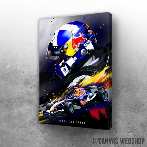 Slika David Coulthard F1 Slika David Coulthard F1
