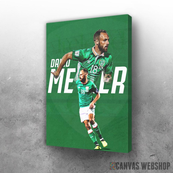 Slika David Meyler Poster