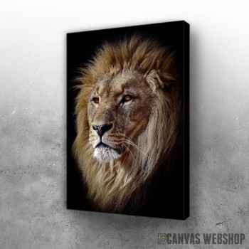 Slika East African lion head Slika East African lion head