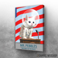 Slika Fallout Mr Pebbles