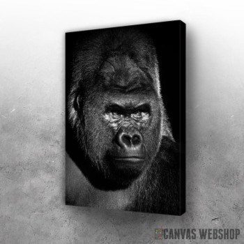 Slika Gorilla black face