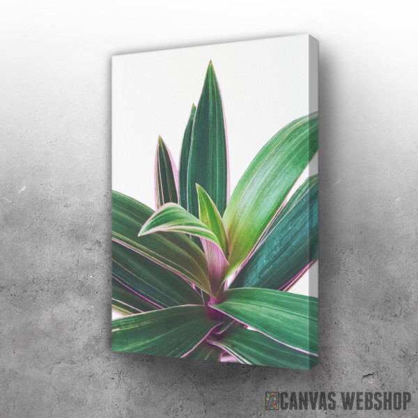 Slika Gracious plant