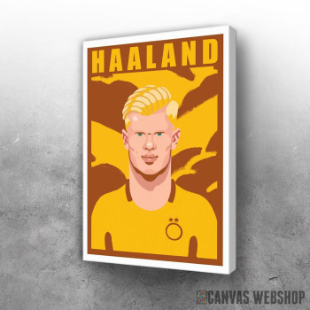 Slika Haaland