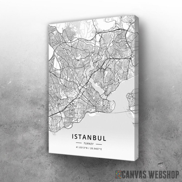 Slika Istanbul mapa - white