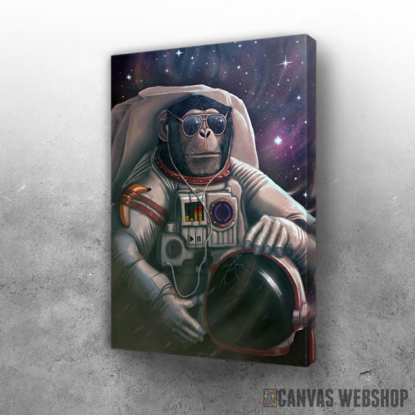 Slika Istraživač svemira