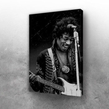 Jimi Hendrix Guitarist