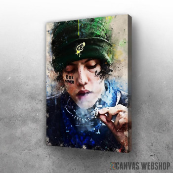Slika Lil xan 3 Slika Lil xan 3