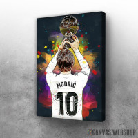 Slika Luka Modrić u Realu - pehar