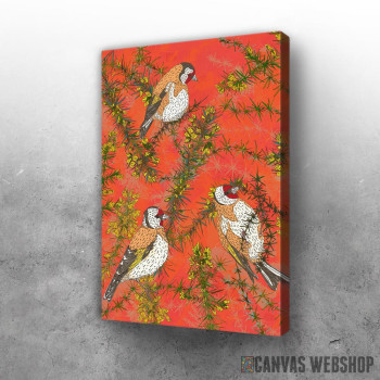 Slika Mali lepi češljugari Slika Mali lepi češljugari