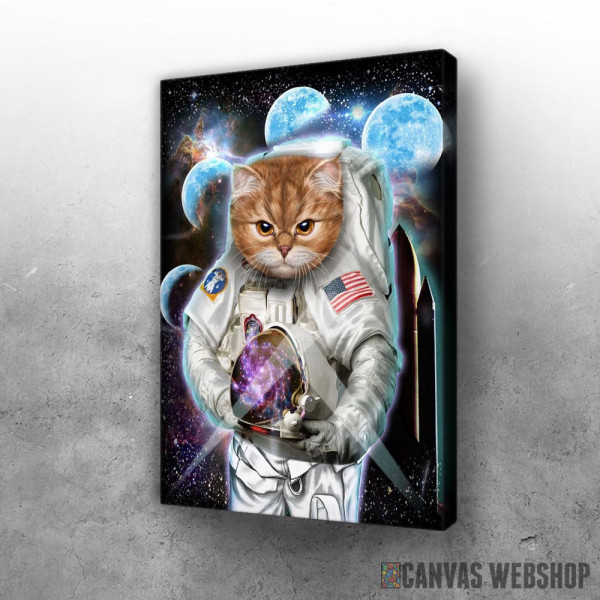 Slika Mačka istražuje svemir