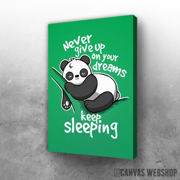 Slika Never give up on your dreams, keep sleeping Slika Never give up on your dreams, keep sleeping