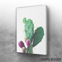 Slika Plodovi kaktusa