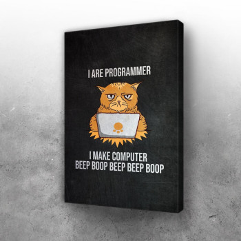 Programmer Cat 2