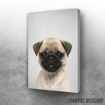 Slika Pug Puppy Colorful