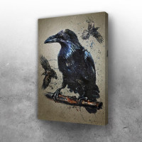 Raven background