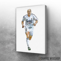 Slika Roberto Karlos white