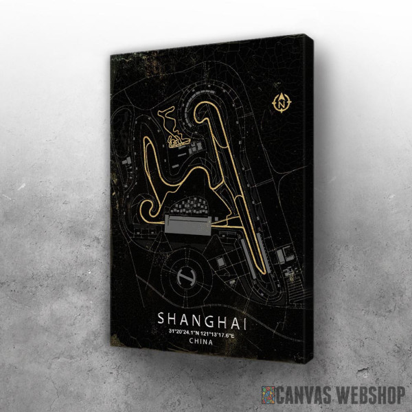 Slika SHANGHAI F1 staza