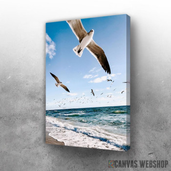 Slika Seagull Slika Seagull