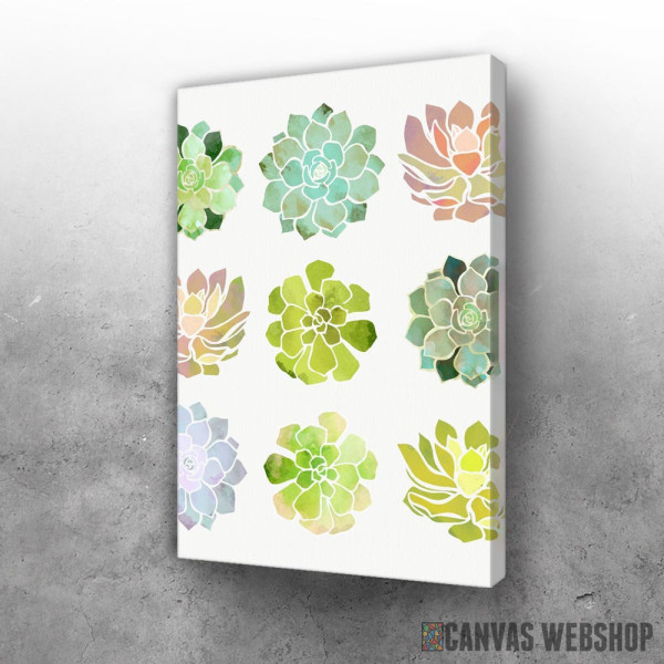 Slika Spring Succulents