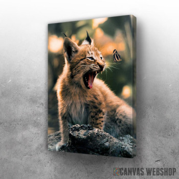 Slika The Lynx Cub and Butterfly