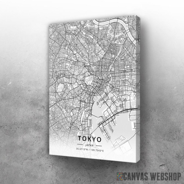 Slika Tokio mapa - white