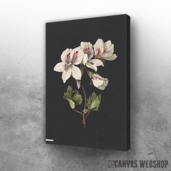 Slika Vintage illustration of flowers 2