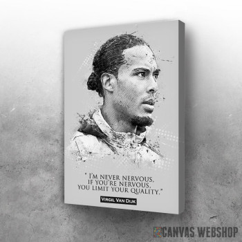 Slika Virgil van Dijk citat