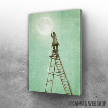 Slika Waning Moon