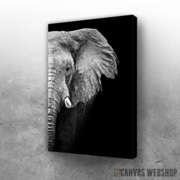 Slika Wild Elephant head