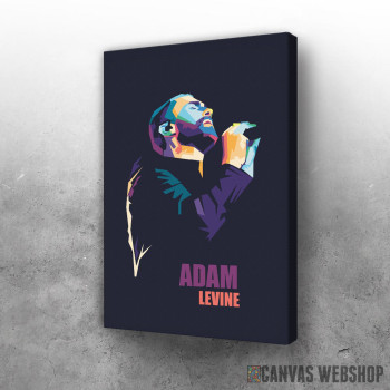 Slika Adam Levin koncert