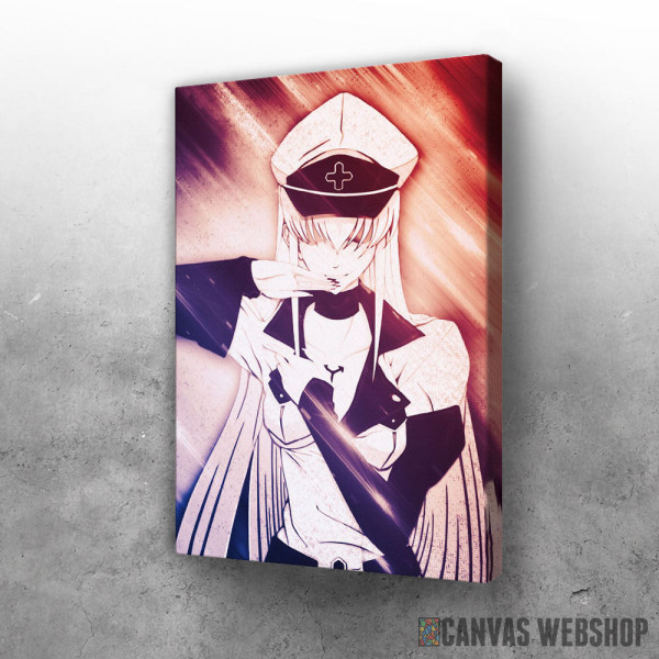 Slika Akame Esdeath Slika Akame Esdeath