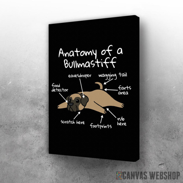 Slika Bulmastif anatomija