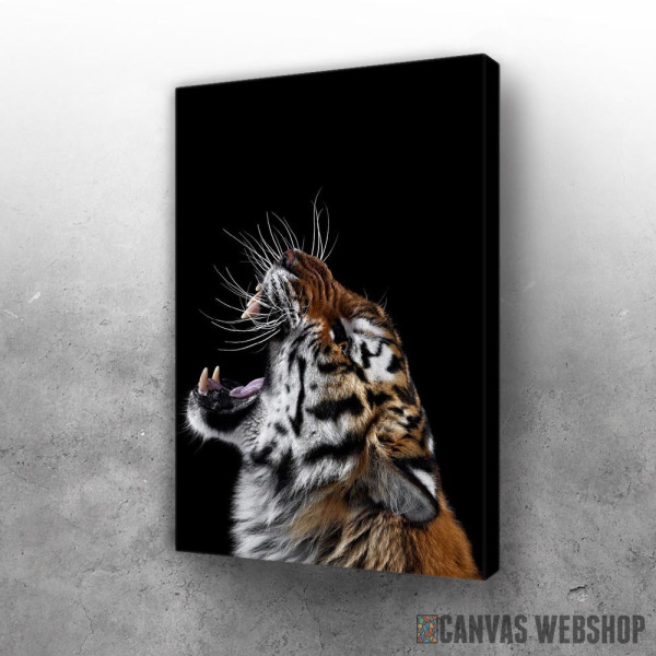 Slika angry wild tiger Slika angry wild tiger