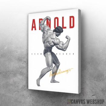 Slika Arnold Švarceneger poziranje