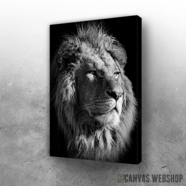 Slika black lion king