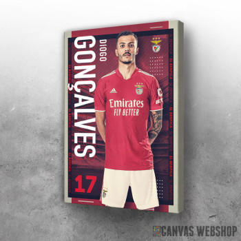Slika Diogo Goncalves 17