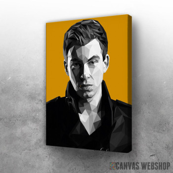 Slika Hardwell Slika Hardwell