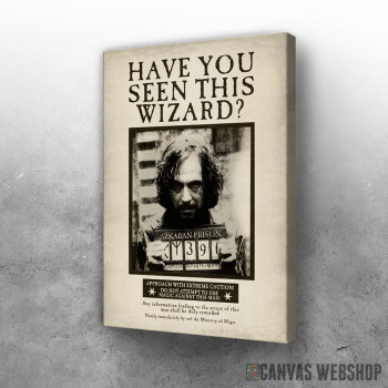 Slika Have you seen this wizard?