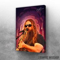 Slika Jamey Johnson country music