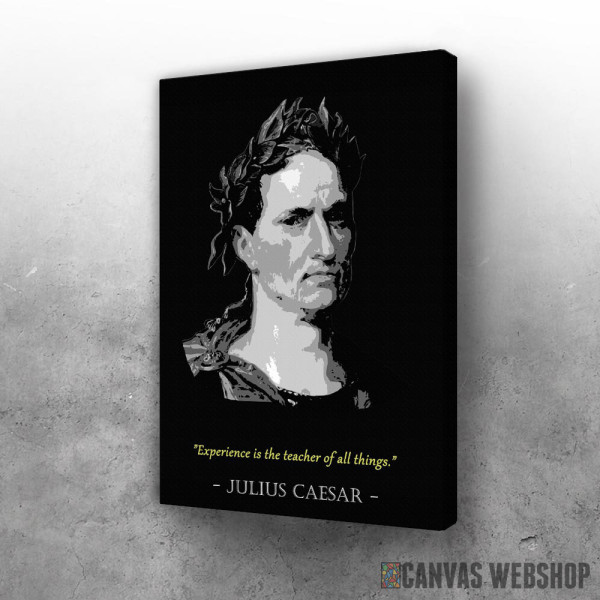 Slika Julius Caesar Quote Slika Julius Caesar Quote