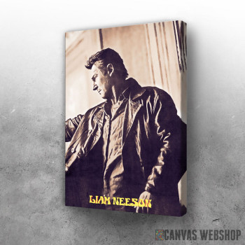 Slika Liam Neeson