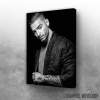 Slika Maluma Slika Maluma